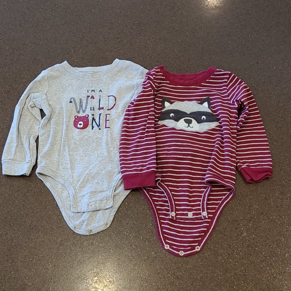 Lot of 2 Carters bodysuits long sleeve